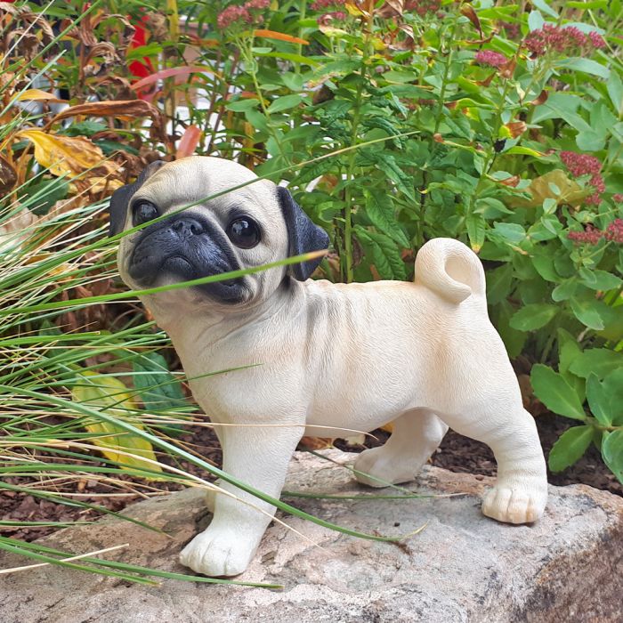 Deko Mops Hund Figur Gartenfigur Skulptur Dekoration Garten Wohnung Dog Neu OVP eBay